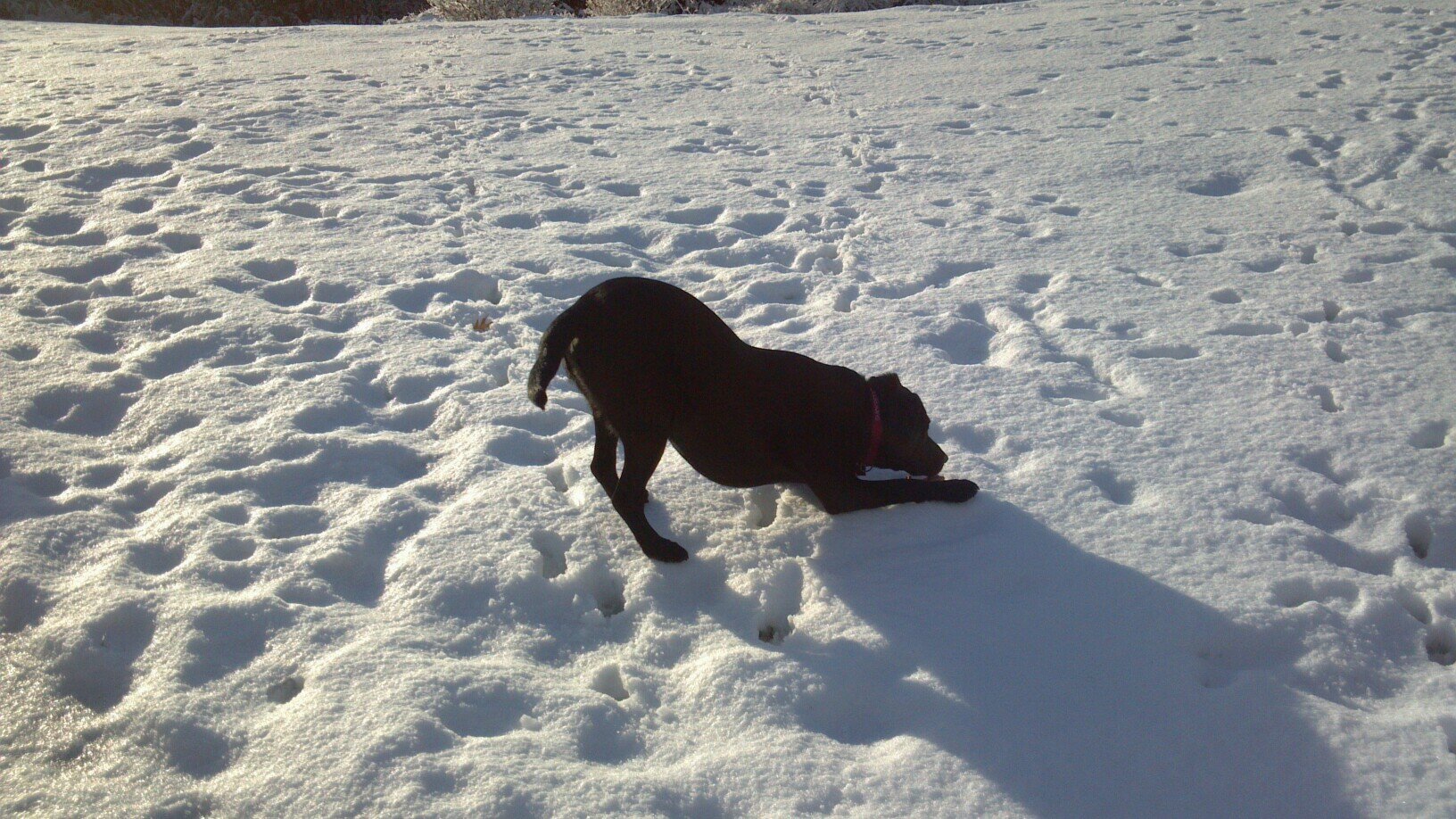 smomaney's profile picture. 