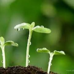 sabri101010's profile picture. 