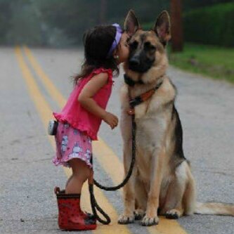 Tunapache's profile picture. 