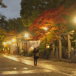 呪術(🐯🐺、甚爾、五条)/薔薇王の葬列🌹👑(リチャード最推/ガムリチャ)/八咫烏シリーズ/審神者(初期刀🌸清光、🌙鶴推し)/CLAMP( X,CCさくら,ツバサ,ドラック&ドロップ )

◆雑多垢ゆえ日常についても呟きます◆
30↑