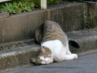 firman13nesta's profile picture. 