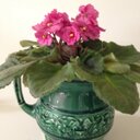 Millie Blake - @Zara510Blake - Twitter