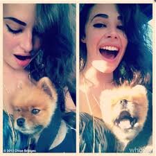 nonamontero509's profile picture. El amor es una condicion en la que la felicidad de otra persona es condicion imprescindible para su propia felicidad.