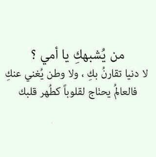 بعض الاشخاص حروفهم هادئه نواياهم نقيه كأن ألدقائق تبتسم لي اذا امضيتها معهم اتمنى كتاباتي تروق لكم.. فولو يامال العافيه#..