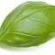 SPECIALITESSTRAIGHTFROM KARE FARMSGourmet & Fancy LettucesBaby GreensBasilSpinachArugulaMesclunTomatosEdible FlowersHerbs