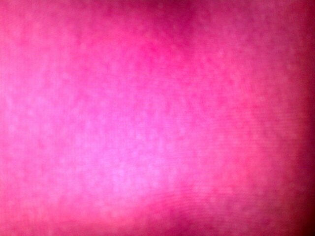 Pqptma Profile Picture