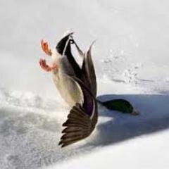 DigitalErrorStr's profile picture. The webs leading experts on random, generic posts that increase empty engagement (obvious parody site)! Follow us to vanilla.... or not