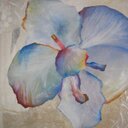 Amy Keith - @AskmeAmy - Twitter