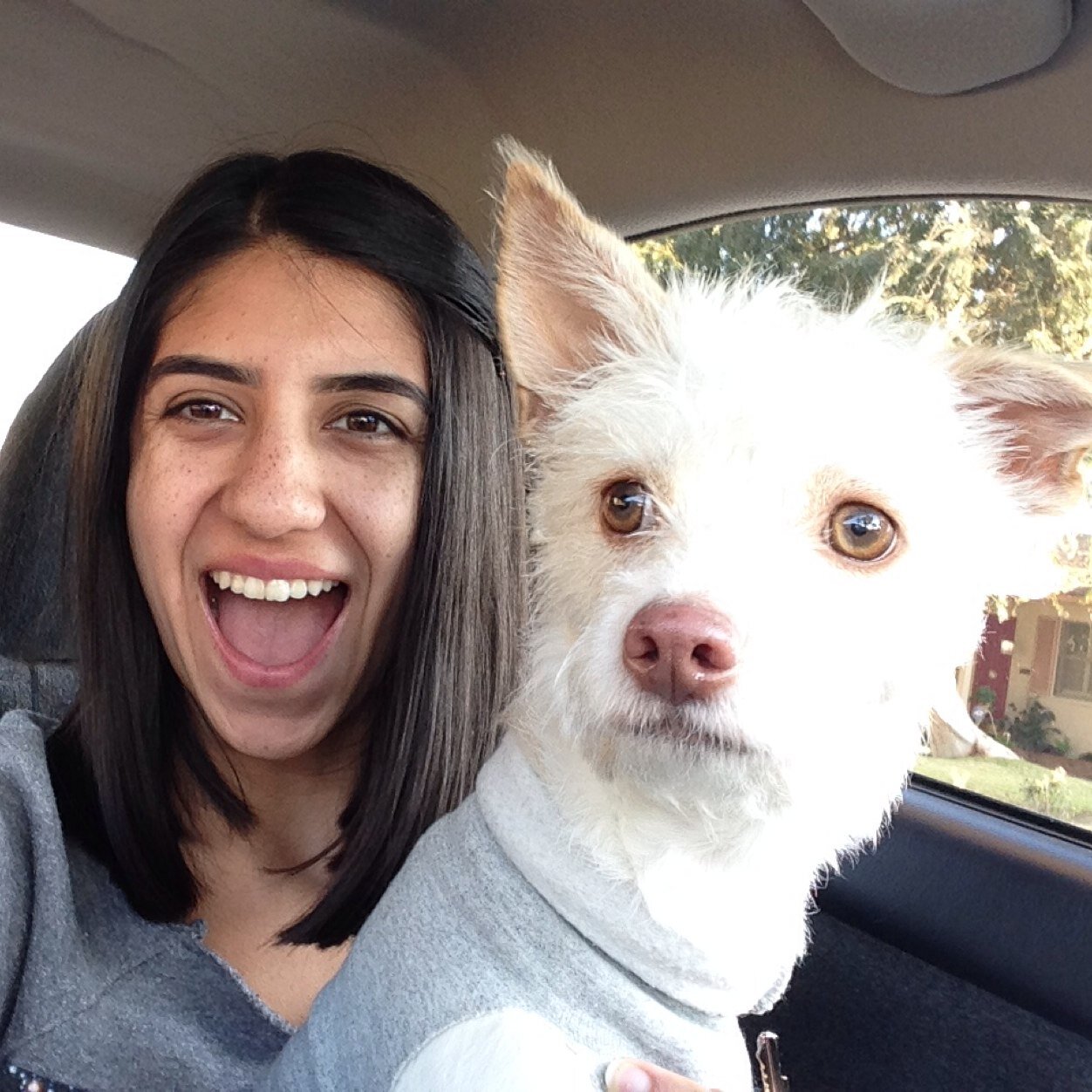 flowerrfieldd43's profile picture. ♡