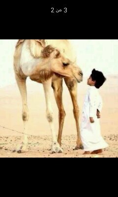 #لٱ_الــہ_الٱ_اللَّـَـَـَـْـْہ_محمد_رسول_اللَّـَـَـَـْـْہ