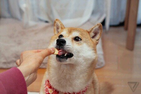 such snack • wow • so crunch