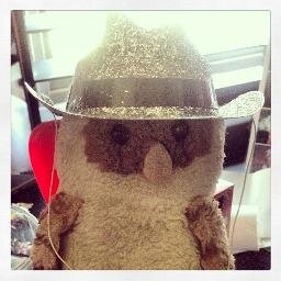 oolietheowl's profile picture. I am a soft toy owl named Oolie. I travel the World with my human mother, so come follow my travels :D I have a soft round head and friendly disposition!