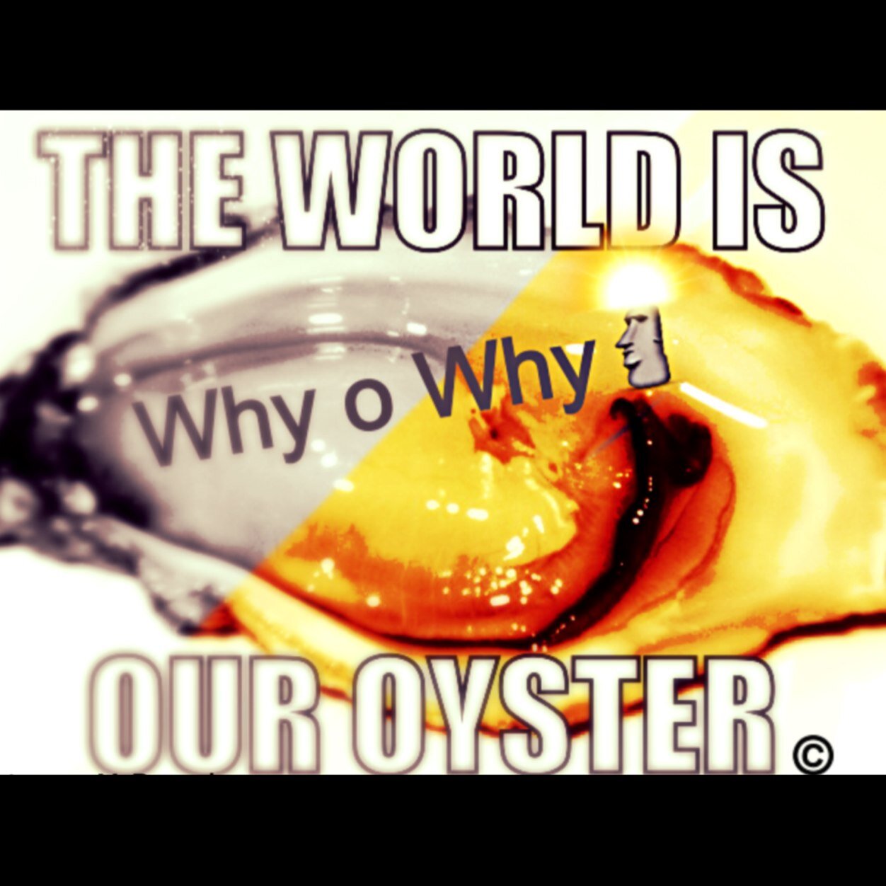 Take a ride on the Oyster Cruise with us under the sea, whilst you delve into our beautiful relatable albums, while not feeling compelled to the worlds nature