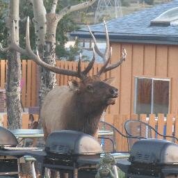 Lake Views. Mountain Views. Newly Renovated. New Mattresses. Continental Breakfast