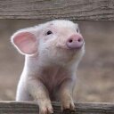 Adrian Bogdański - @AdrianBogdaski - Twitter