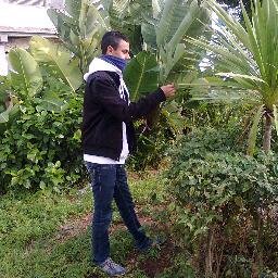 chmaalawi loco