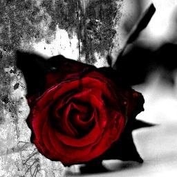 Data_Node's profile picture.