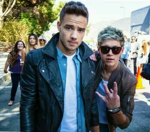 I'm directioner forever and love @onedirection ;)