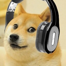 Radio Doge Profile