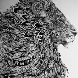 OriginalBreau's profile picture. Streamer , Gamer, Musician, Chef, and Engineer