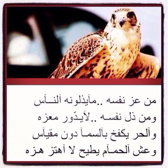 حمد الاحبابي