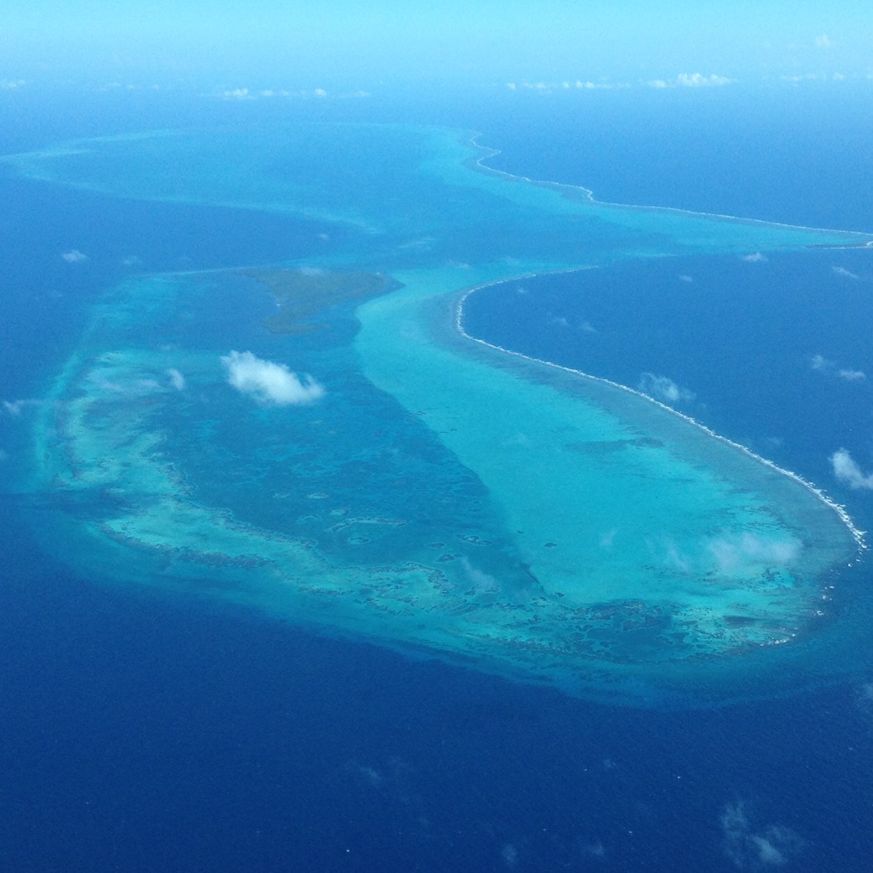 220+ miles of amazing ecological wonder. Come visit me for yourself. Only in Belize. And please don't call me MesoAmerican!