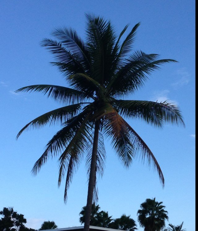 Grrrr406's profile picture. 