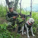 Alex vega aldana (@AlexmilitarFFMM) Twitter
