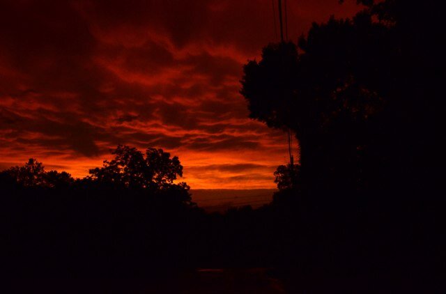 love to take artistic and creative photos- free. Hit me up for suggestions.
