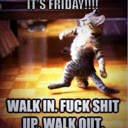 TAJ2032's profile picture. Don't follow me. I'm just lurking. Liberal. Proud of it.