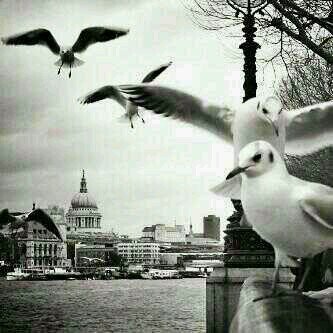 ﻻزِلتُ أَنظر للأيامِ بِأَمل و أَنبِش مِن جُوعِها قُوتاً مِن الصّبر ، لازِلتُ أَعلم أَننِي ما رأيتُ فِي هَذه الحياة إلا القَليل . . .