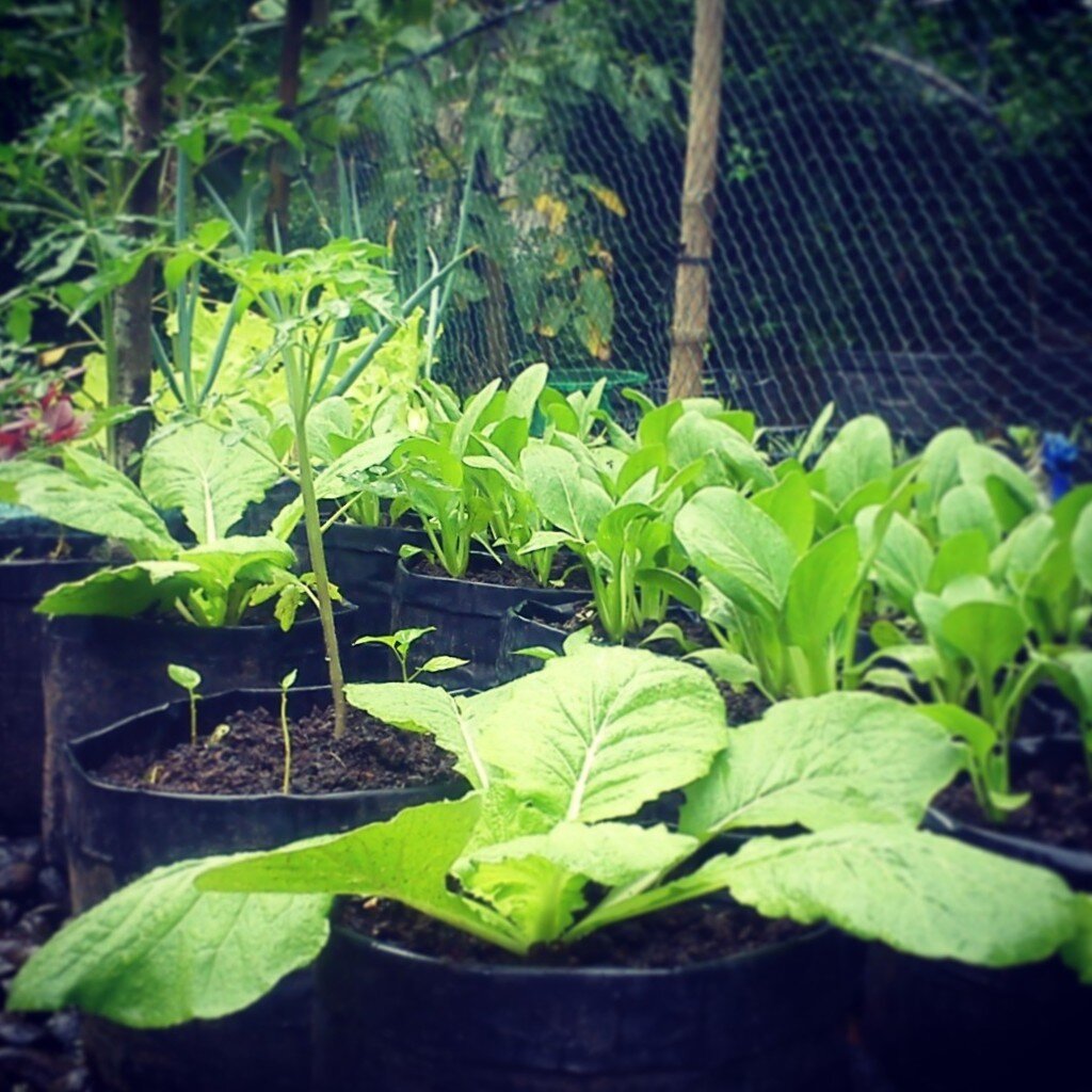 agoezthox's profile picture. nothin' special on me