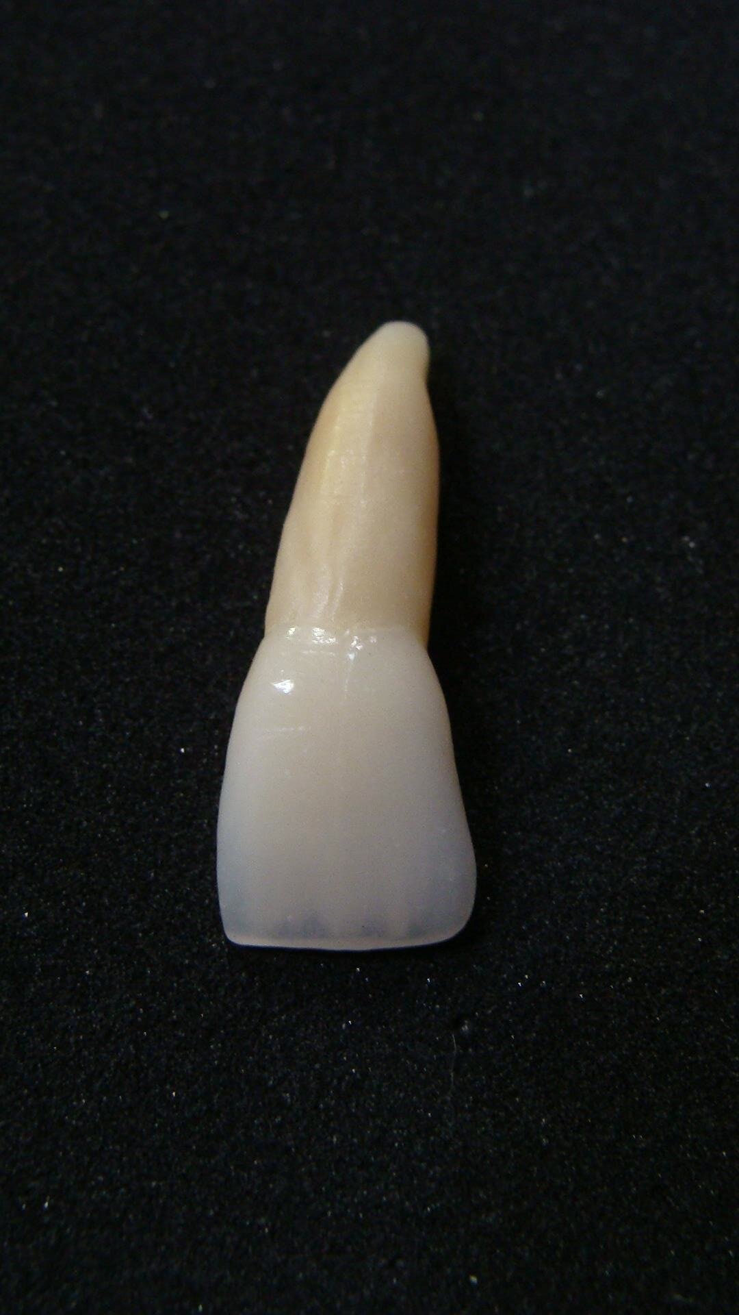 CeramiArtDental's profile picture. 