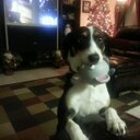 Ann Lally - @albug59 - Twitter