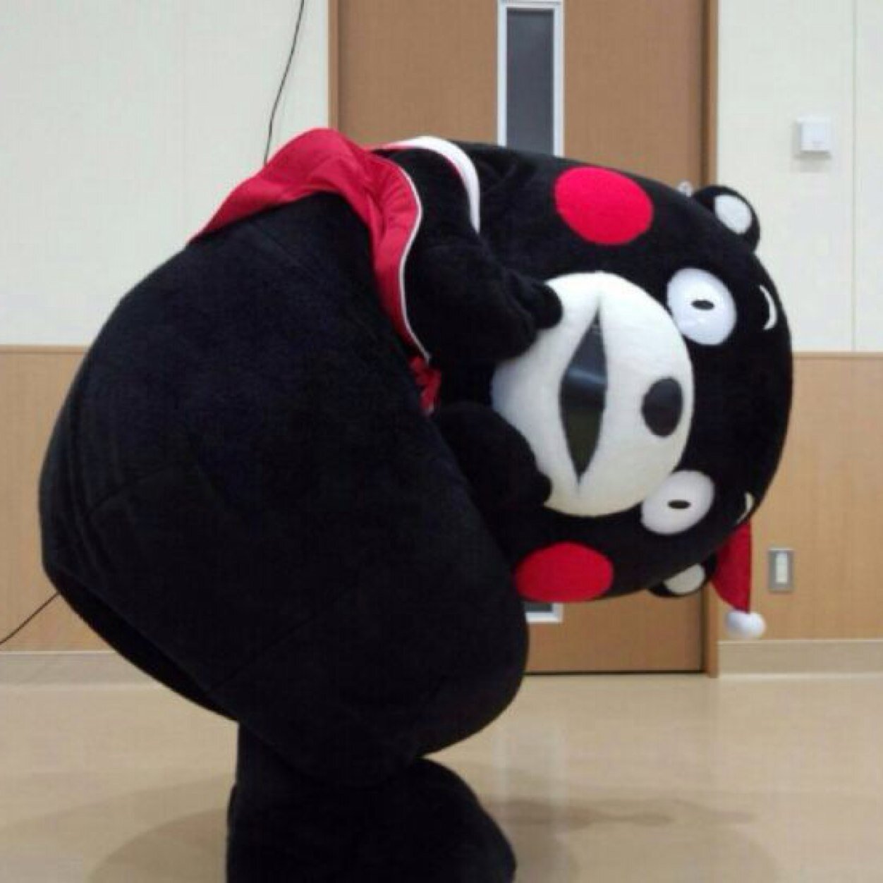 くまモンと熊本県を心から応援しています。くまモン県で自然に触れながら美味しいものを食べて過ごしたいなぁと将来移住を夢見てます😌✨王子動物園の散策も楽しんでいます☆ タンタンさん🐼クマ系動物🐻
