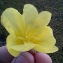 Sara House  - @shouse43 - Twitter