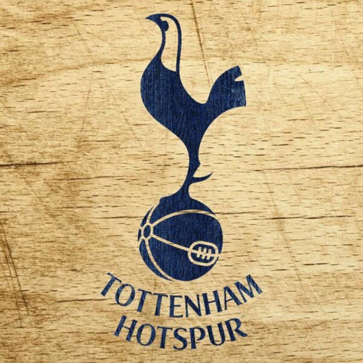 JamesSpursfan1's profile picture. COYS!!!