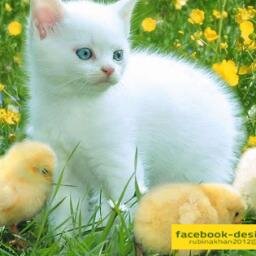 facebookdesign2's profile picture. http://t.co/ODyhNHazCW
http://t.co/eU1GSfGUkX
http://t.co/YvBxzFjgKk
http://t.co/VFm3xFBQBW
http://t.co/O0ylHaK74Y
http://t.co/ZsRncDtvRe