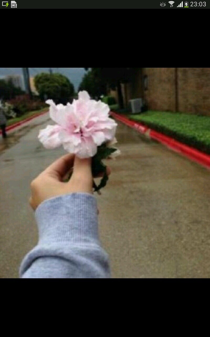 ‏‏اسعدتك بفولو اسعدني بفولو هنا ‎‎@roroovip