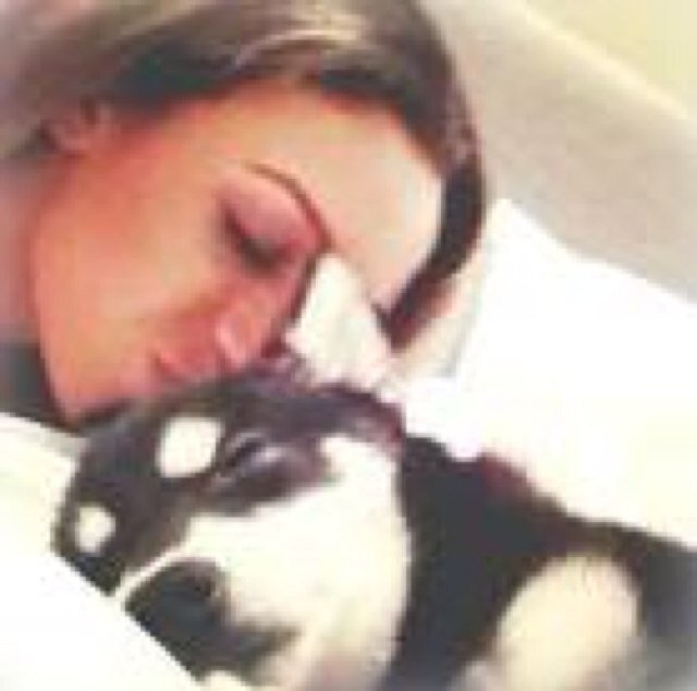 i❤ loki liam's husky
Team loki