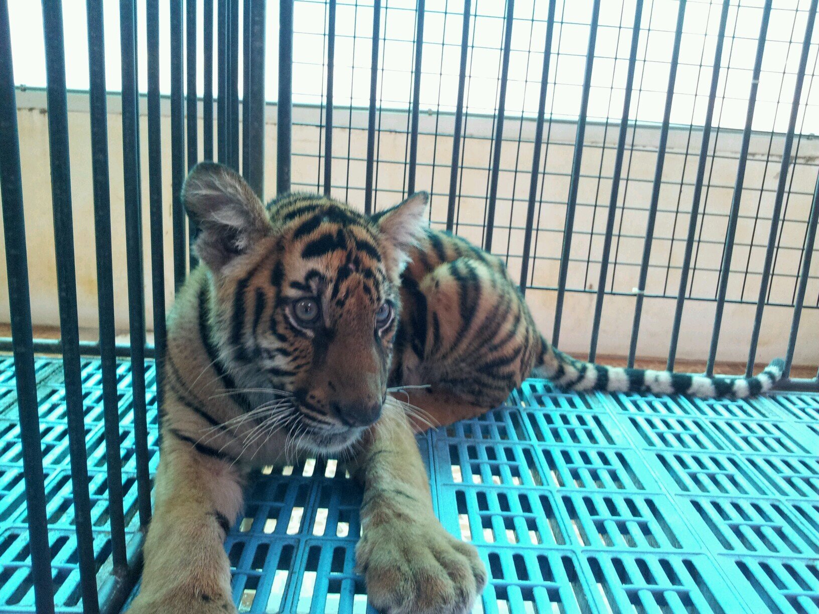 chlmink's profile picture. 정의롭게..정직하게..