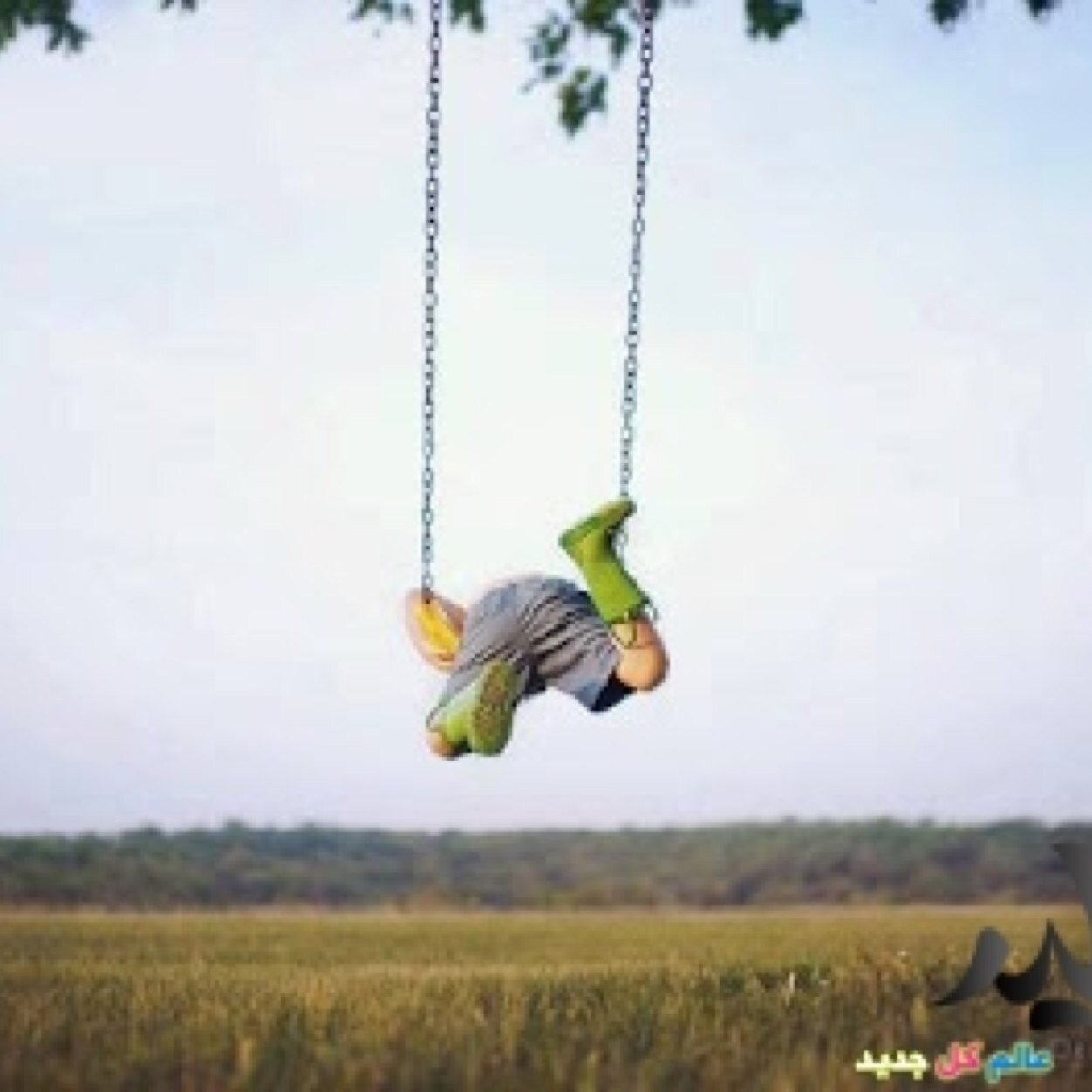 dgkl68026's profile picture. 