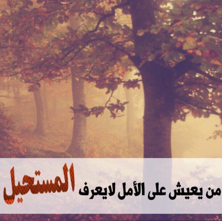 ‏_لااعرف الاقتباس ¤ اعشق الريتويت _                                                                           لدي حرية التغريد / ولديك حرية المتابعه