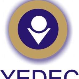 The Youth Empowerment and Development Centre (YEDEC) is a not-for-profit oriented organization.Its is a response to the developmental challenges facing Youth