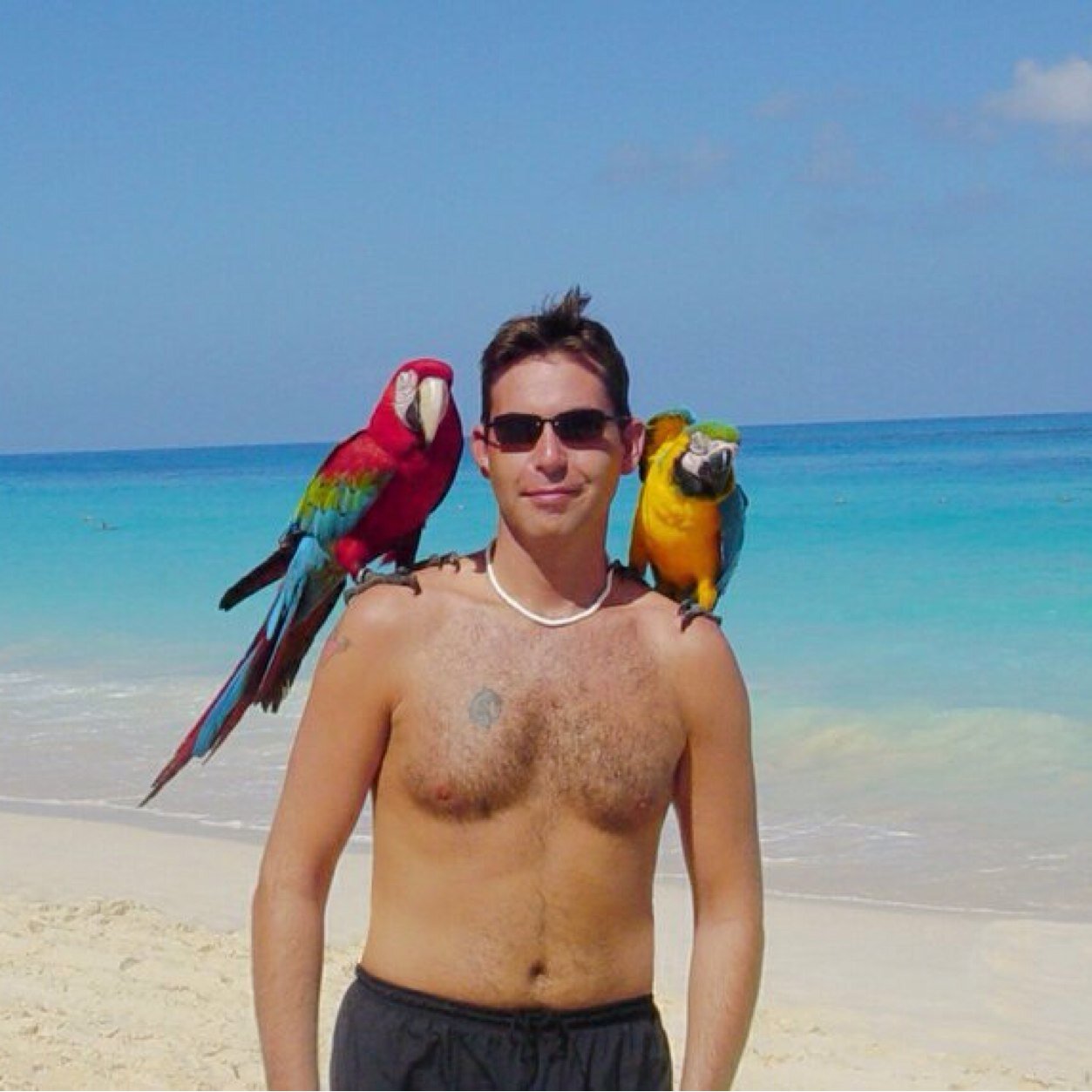 davidkerr71's profile picture. Husband, Father and Grandfather. Doing my best to live a life full of gratitude surrounding myself around amazing people. 🏳️‍🌈🇨🇦