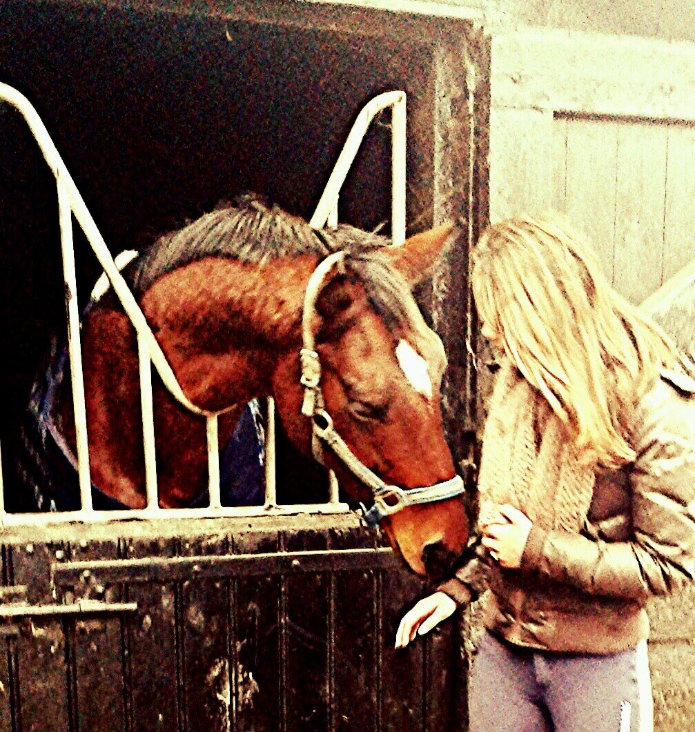 love my beautiful horse Eragon♡♥          ~paardrijden♡♥