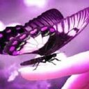 kaya patel - @kayapatel2 - Twitter