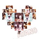 ❥Ayano (@11aya14) Twitter