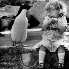 AvailM20's profile picture. 