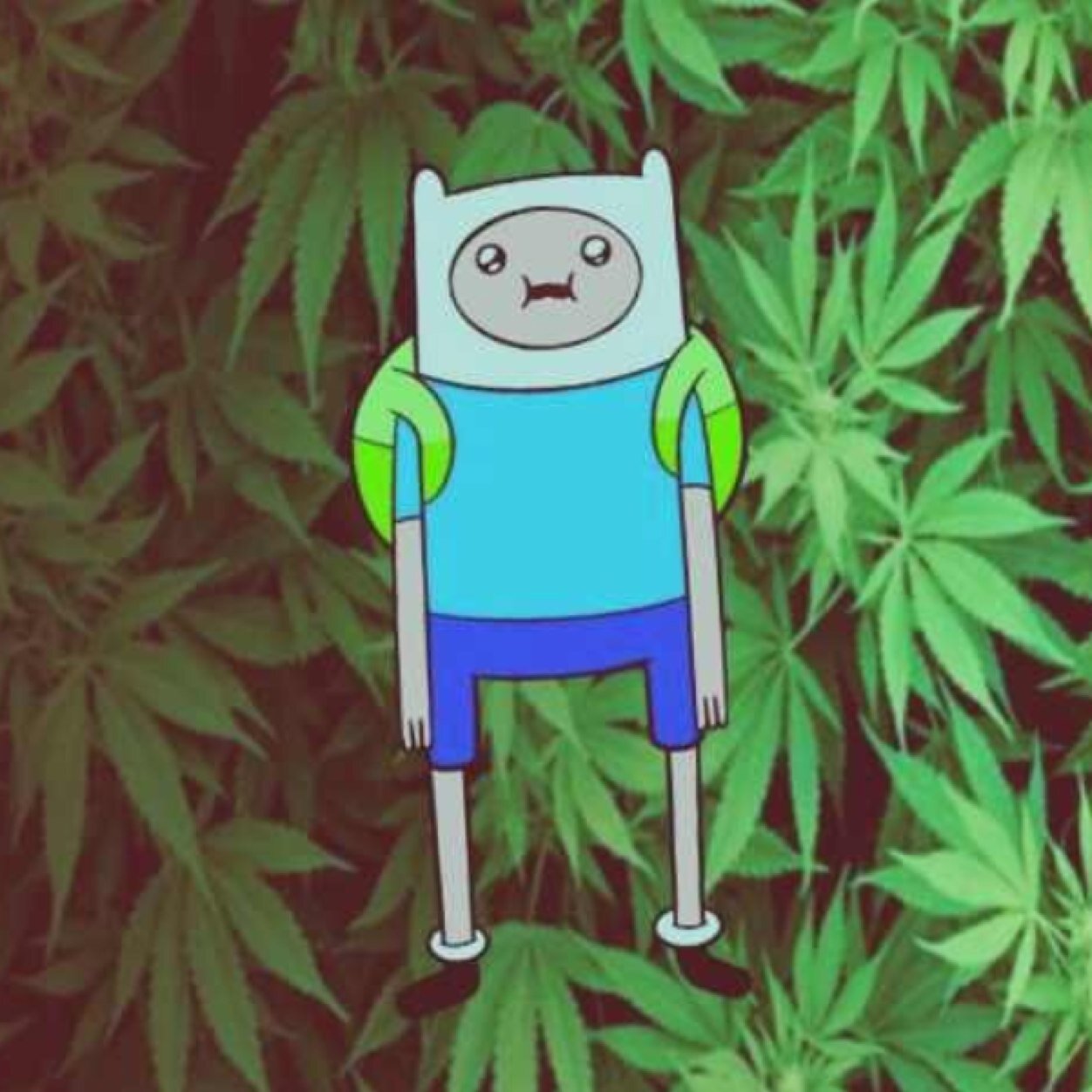 I wanna marijuana. Stay Trippy. Follow for Phun. I follow back for phun